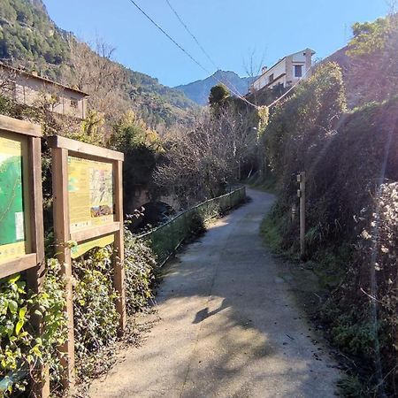 Alojamientos Puerta Del Parque Cazorla Ruang foto