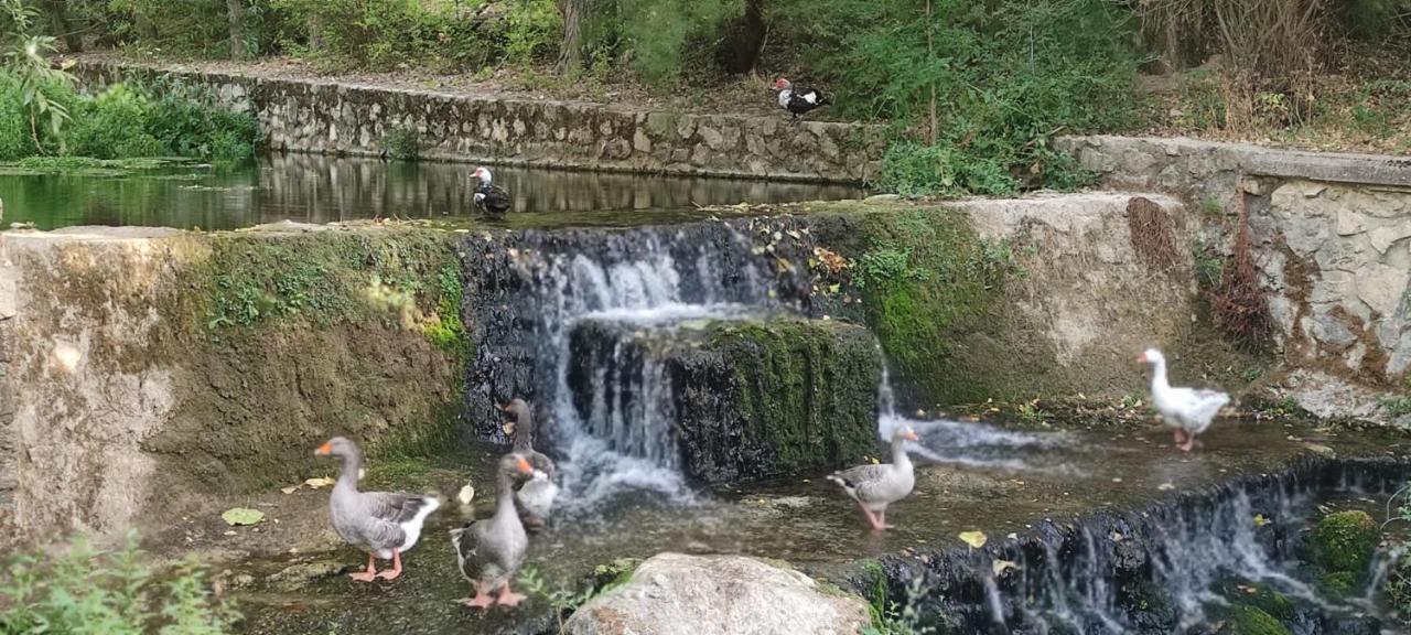 Alojamientos Puerta Del Parque Cazorla Bagian luar foto